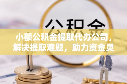 长垣小额公积金提取代办公司，解决提取难题，助力资金灵活使用