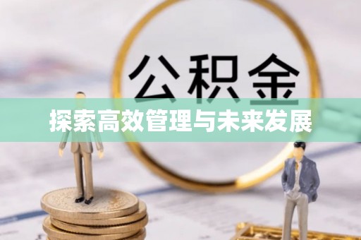 长垣探索高效管理与未来发展