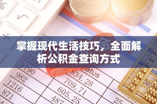 长垣掌握现代生活技巧，全面解析公积金查询方式