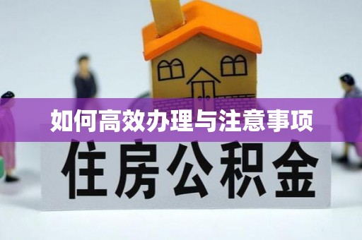 长垣如何高效办理与注意事项