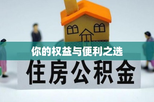 长垣你的权益与便利之选