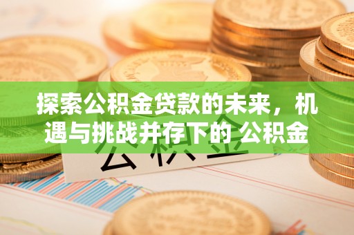 长垣探索公积金贷款的未来，机遇与挑战并存下的 公积金贷款风险防控