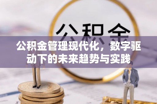 长垣公积金管理现代化，数字驱动下的未来趋势与实践