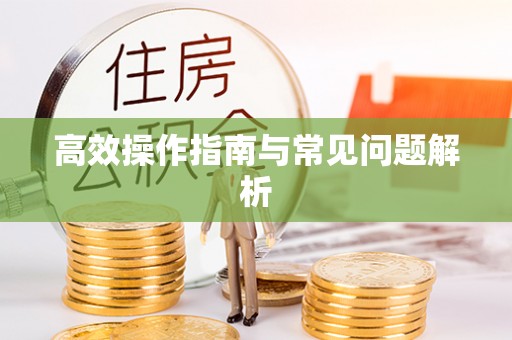 长垣高效操作指南与常见问题解析