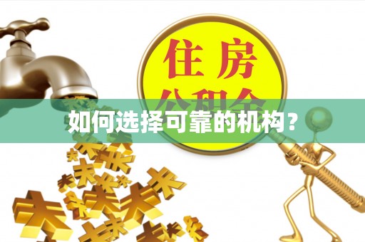 长垣如何选择可靠的机构？