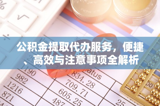 长垣公积金提取代办服务，便捷、高效与注意事项全解析