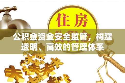 长垣公积金资金安全监管，构建透明、高效的管理体系