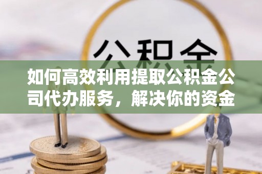 长垣如何高效利用提取公积金公司代办服务，解决你的资金难题