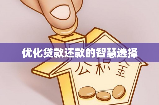 长垣优化贷款还款的智慧选择