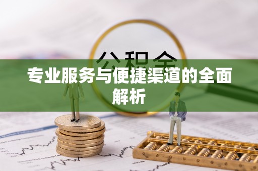 长垣专业服务与便捷渠道的全面解析