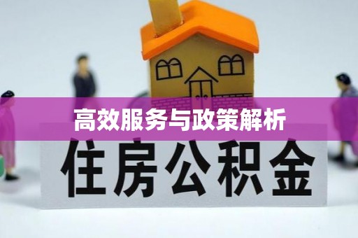 长垣高效服务与政策解析