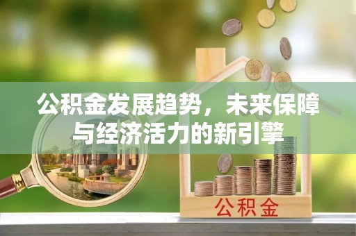 长垣公积金发展趋势，未来保障与经济活力的新引擎