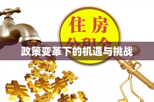 长垣政策变革下的机遇与挑战