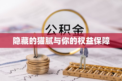 长垣隐藏的猫腻与你的权益保障