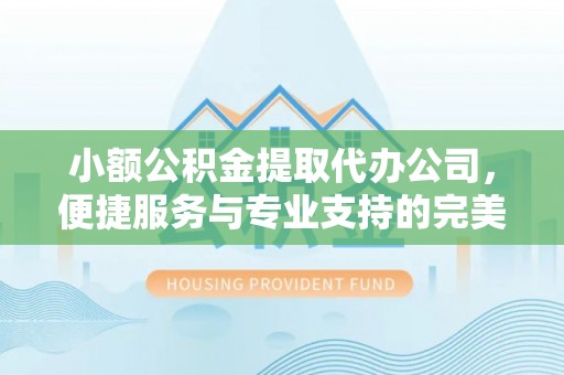 长垣小额公积金提取代办公司，便捷服务与专业支持的完美结合