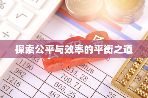 长垣探索公平与效率的平衡之道