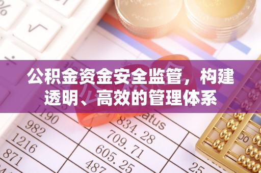长垣公积金资金安全监管，构建透明、高效的管理体系