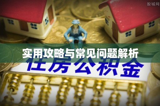 长垣实用攻略与常见问题解析