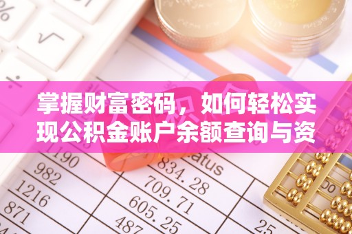 长垣掌握财富密码，如何轻松实现公积金账户余额查询与资金管理