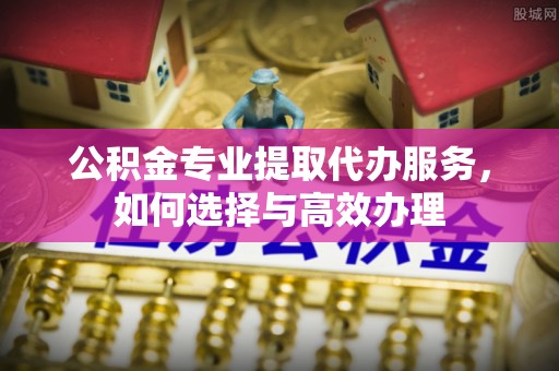 长垣公积金专业提取代办服务，如何选择与高效办理