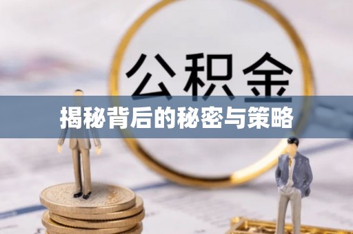 长垣揭秘背后的秘密与策略