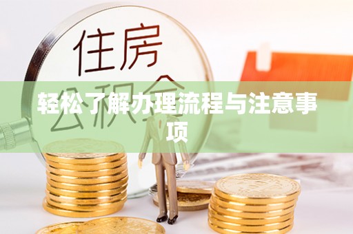 长垣轻松了解办理流程与注意事项