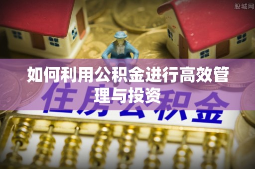 长垣如何利用公积金进行高效管理与投资