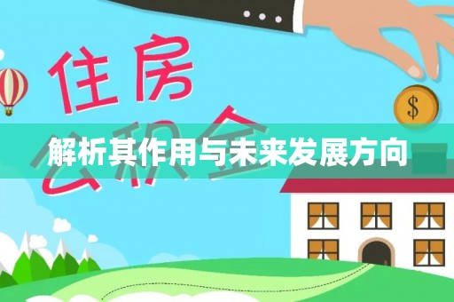 长垣解析其作用与未来发展方向