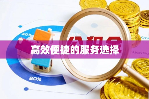 长垣高效便捷的服务选择